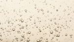 Perché lo champagne ha le bollicine?