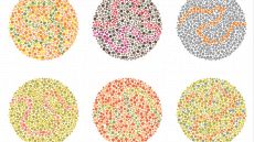 Perché i daltonici non vedono tutti i colori?