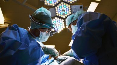 Il medico pietoso fa la piaga verminosa
