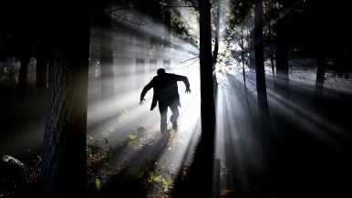 Peccato celato è mezzo perdonato