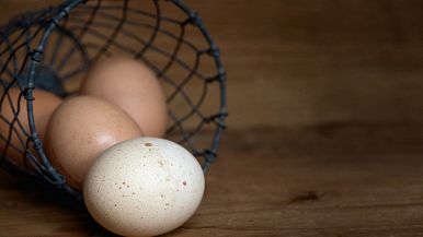 Quando la gallina canta ha fatto l’uovo