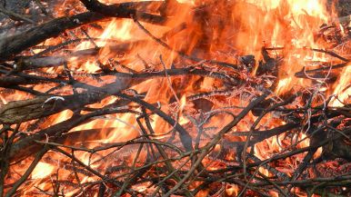 L’uomo è fuoco, e la donna è stoppa, vien poi il diavolo, e glil’accocca