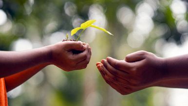 Un po’ per uno non fa male a nessuno