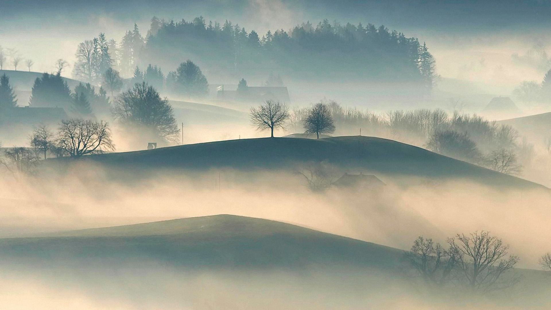 Lascia Il Tempo Che Trova Significato La nebbia lascia il tempo che trova