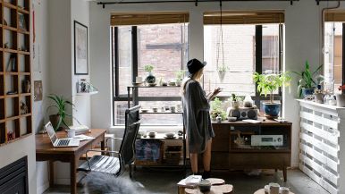 Zambra serrata fa donna lodata