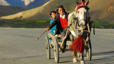 Perché vada il carro, bisogna unger le ruote