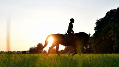 Perdere il trotto per l’ambiadura
