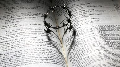 Si perdona, ma non si scorda