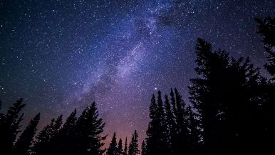 San Lorenzo: cadono le stelle