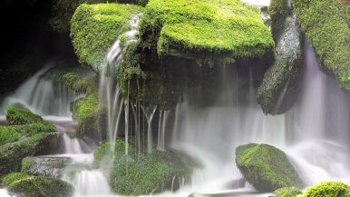 Pietra mossa non fa musco