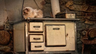 Un occhio alla padella e uno alla gatta