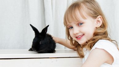 Volto di miele, cor di fiele