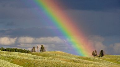 La speranza è l’ultima a morire