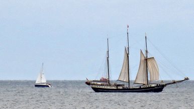 Sempre par più grande la parte del compagno