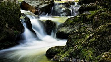 Ogni acqua va alla china