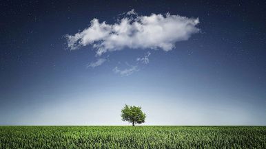 Poco fiele fa amaro molto miele