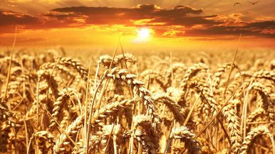 Polvere di gennaio, carica il solaio