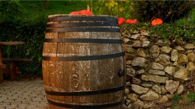 Sono le botti vuote quelle che cantano