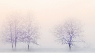 Non nevica tutto il verno