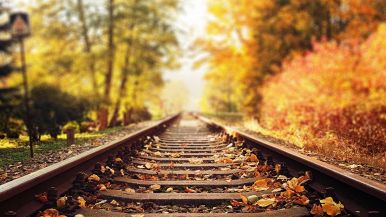 binari-del-treno