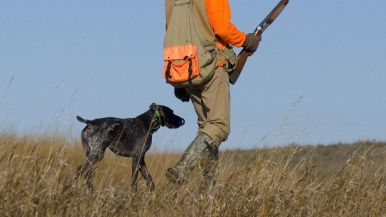 Un cane e un cacciatore