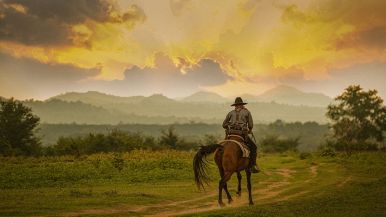 l'occhio del padrone ingrassa il cavallo proverbio