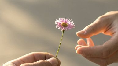 La provvidenza, quel che toglie, rende proverbio