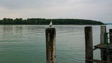 L'acqua fa marcire i pali