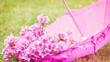 Aprile quando piange e quando ride