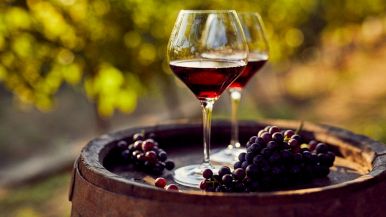 La buona cantina fa il buon vino: proverbio