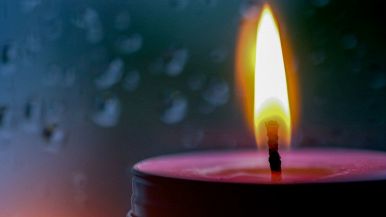 Candele WoodWick, le fragranze da regalare a Natale