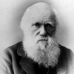 Charles Darwin, il teorico dell'evoluzione della specie