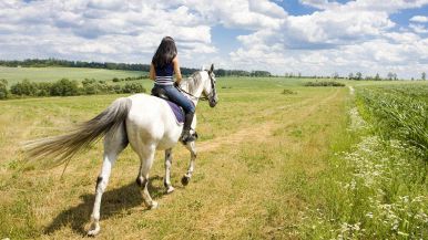 La superbia andò a cavallo e tornò a piedi