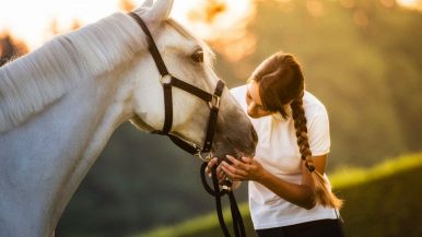Mal si giudica il cavallo dalla sella: spiegazione