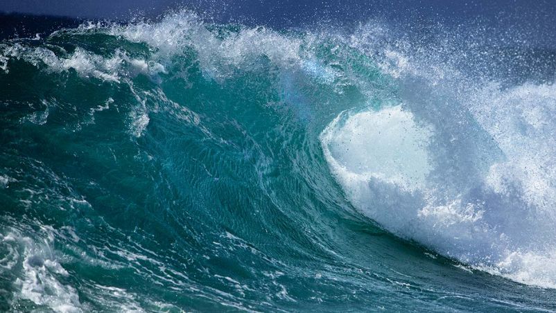 Mare agitato con un'onda molto alta