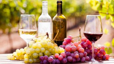 Quando il vino rende lieti, se ne fuggono i segreti: significato