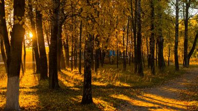 Quel che si fa all'oscuro, appare al sole