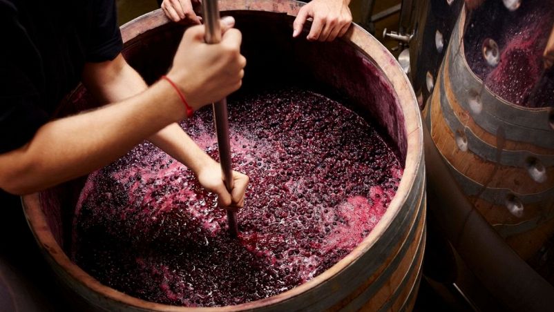 A San Martino, apri la botte e assaggia il vino: origine del proverbio