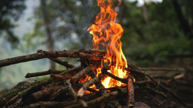 Tanto l'amore quanto il fuoco devono essere attizzati proverbio