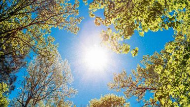 Una bella giornata non fa estate