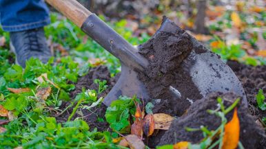 Vanga piatta poco attacca, vanga ritta terra ricca, vanga sotto ricca il doppio