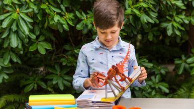 libri pop up per bambini