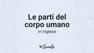corpo-umano-inglese