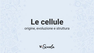 cellule-origine-evoluzione-struttura