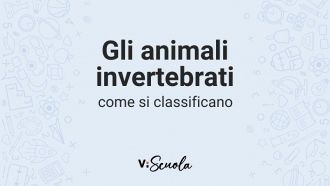 classificazione-animali-invertebrati