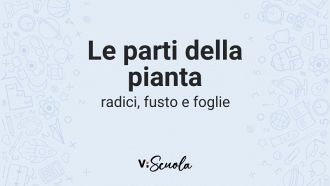 parti-pianta