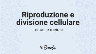 riproduzione-divisione-cellulare