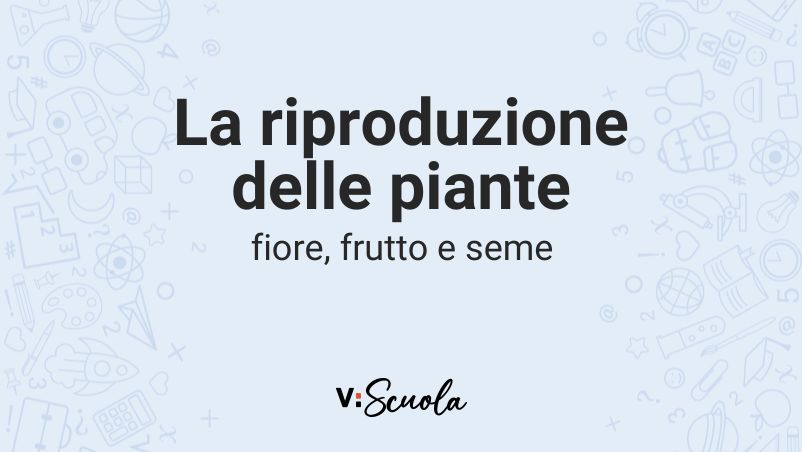 La riproduzione delle piante: fiore, frutto e seme