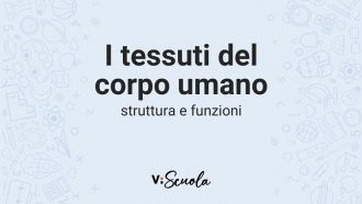 tessuti-corpo-umano