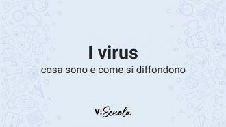 virus-cosa-sono